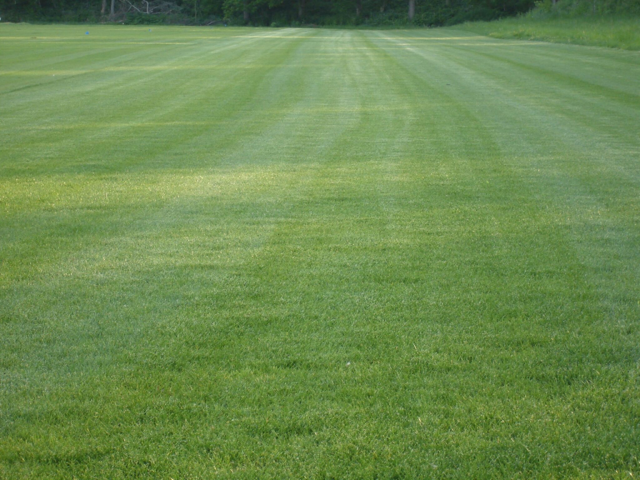 Moster Turf Sod Field