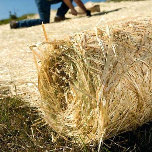 Straw Blanket Moster Turf